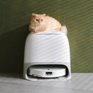 Khả năng lau nhà