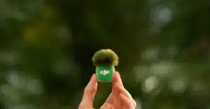 DJI Mic Mini 2 được trang bị nhiều tính năng quản lý năng lượng thông minh